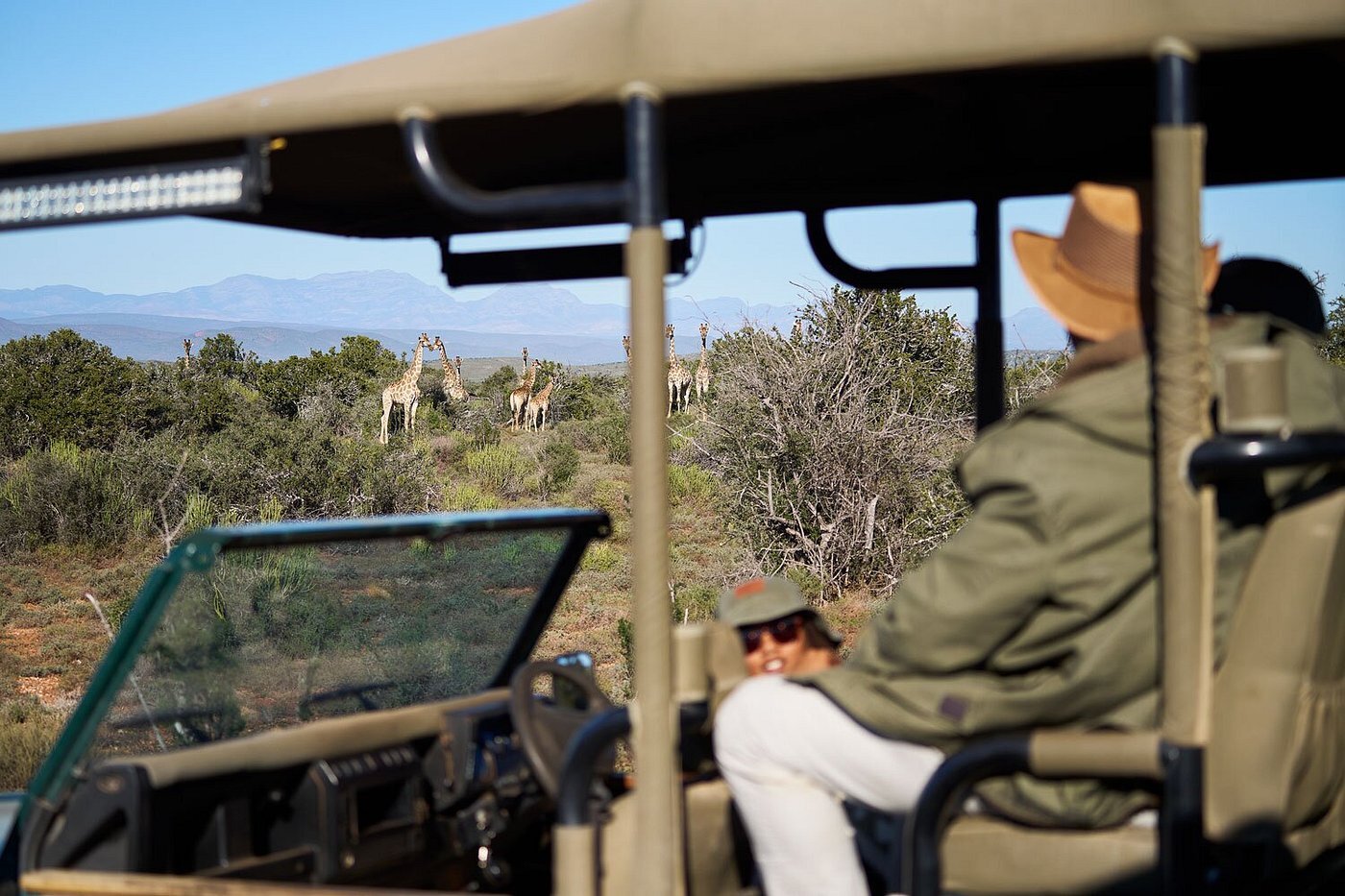 Buffesldrift game drive