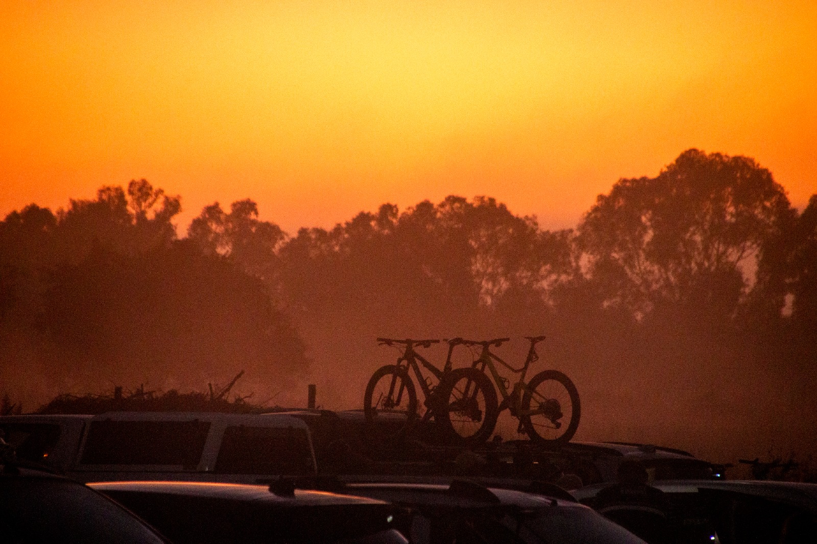 early morning bicycles