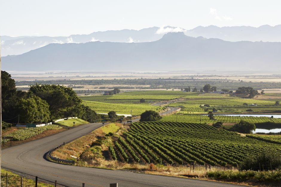 wine farm roads