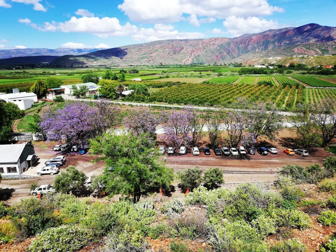 calitzdorp